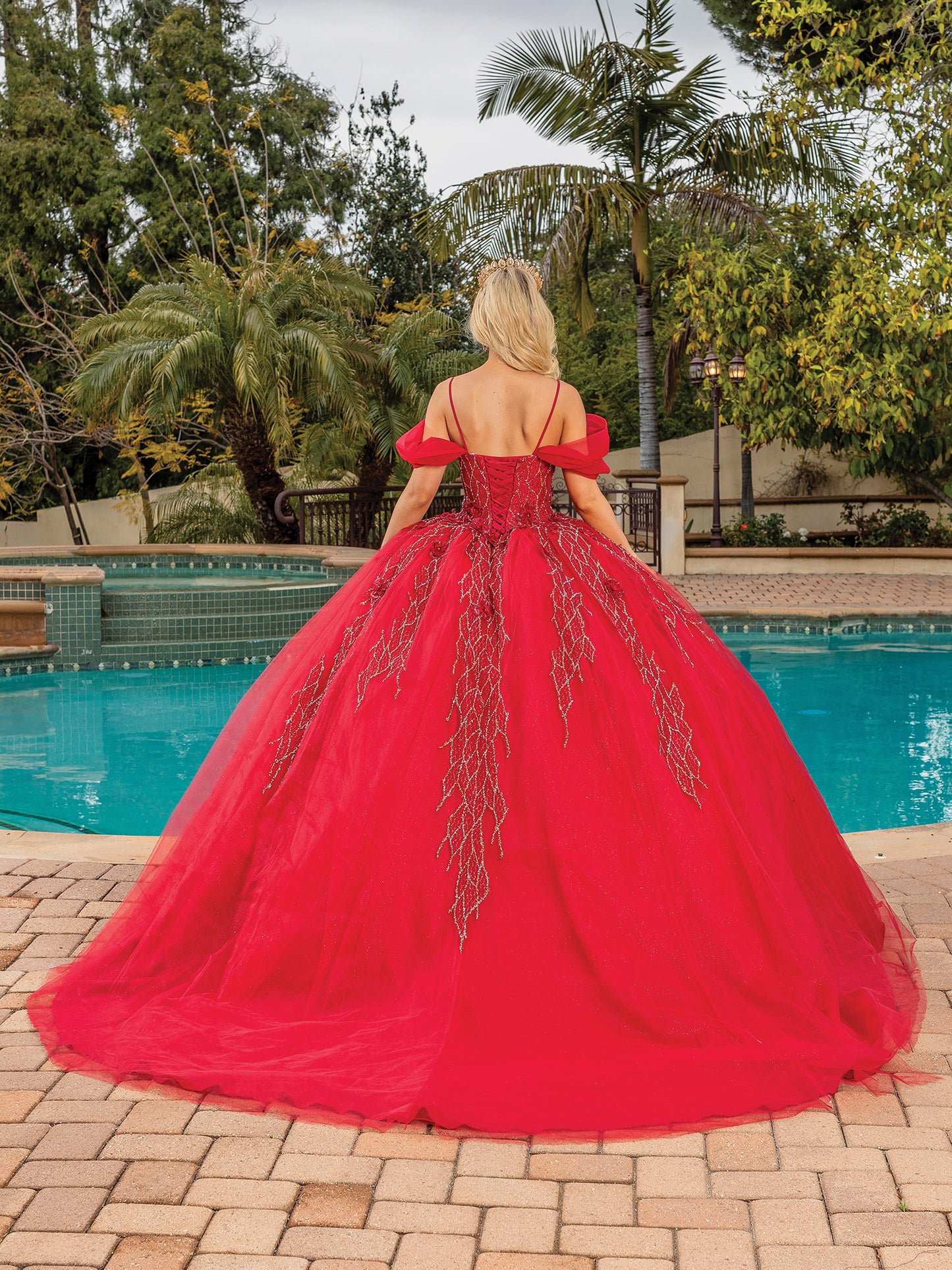 Corset Bodice and Cascading Appliqués Quinceanera dress 1873