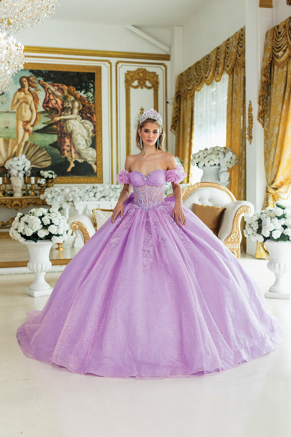 Off-Shoulder Ball Gown Quinceañera Dress 1982
